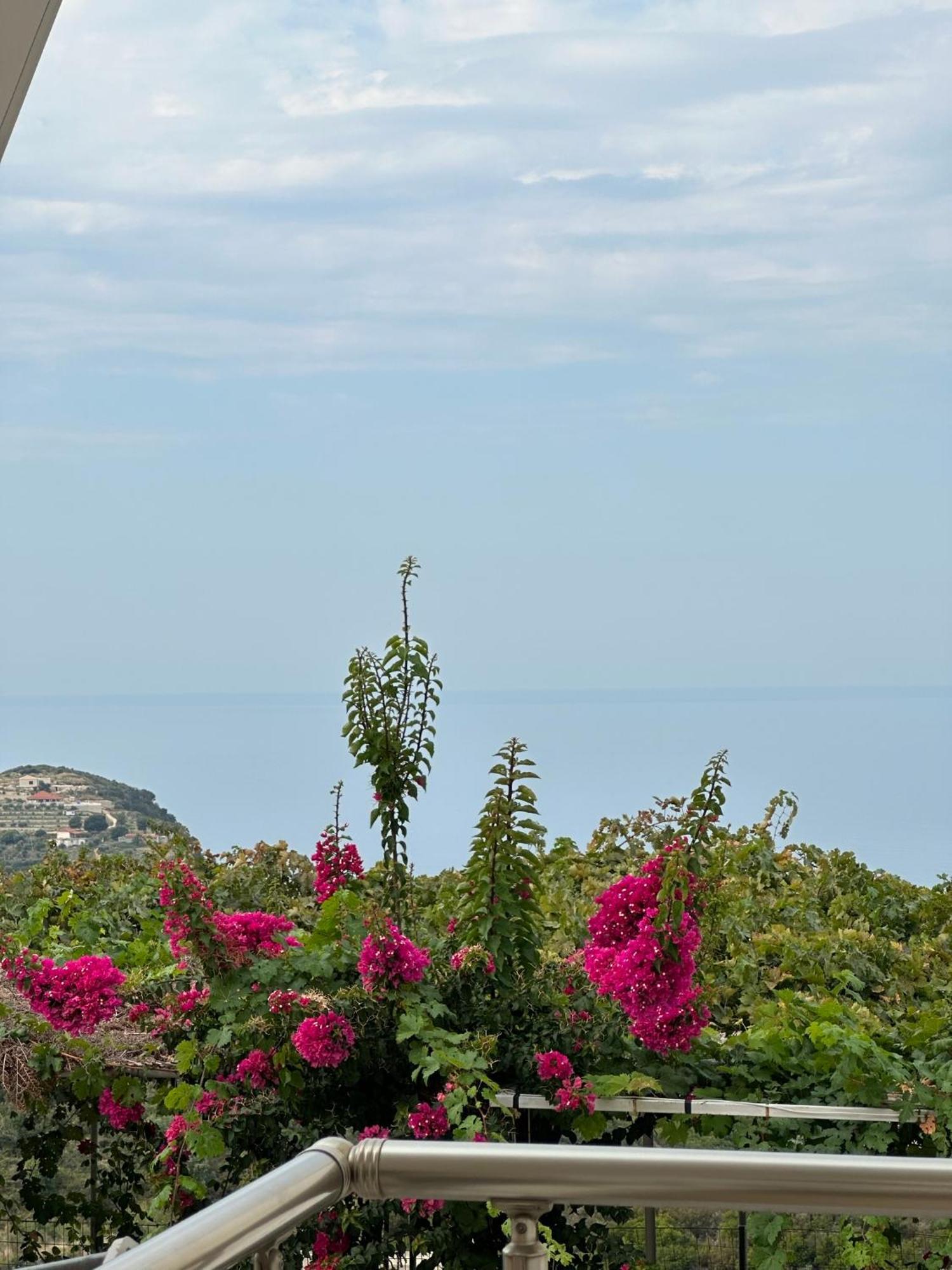 Elea Guesthouse Himare Eksteriør bilde