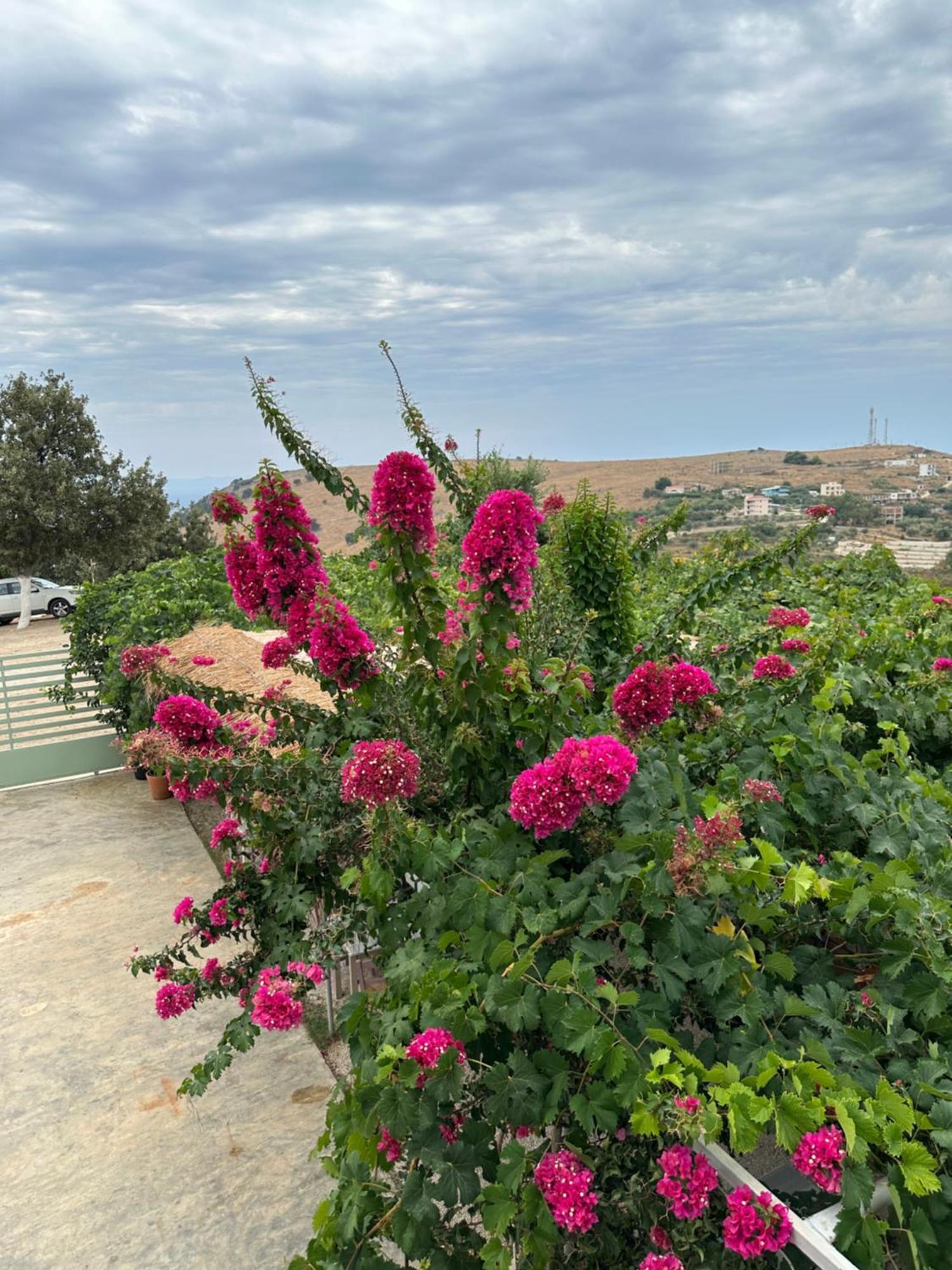 Elea Guesthouse Himare Eksteriør bilde