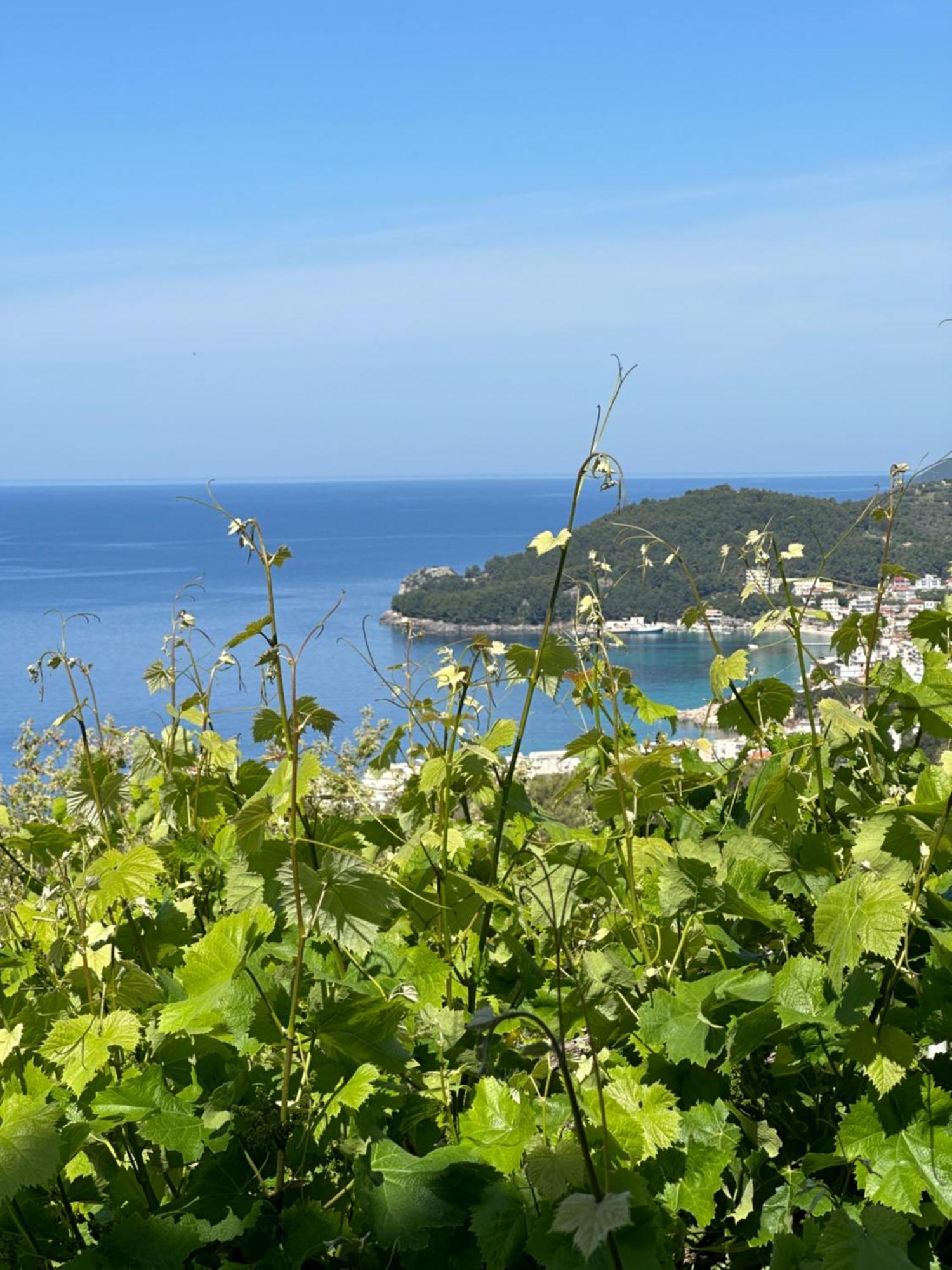 Elea Guesthouse Himare Eksteriør bilde